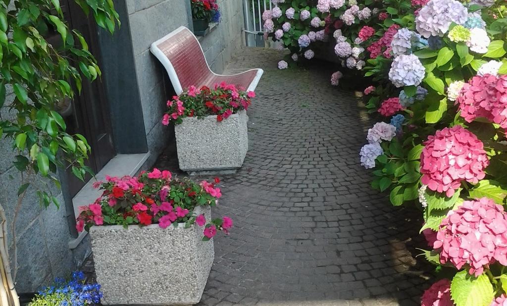 Casa Delle Ortensie Bed & Breakfast Alpignano ภายนอก รูปภาพ